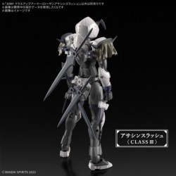 30MF Rosan Assassin Slash Class Up Armor