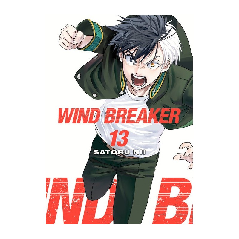 Wind Breaker V13
