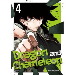 Dragon & Chameleon V04