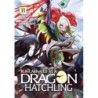 Reincarnated as a Dragon Hatchling Novel V11