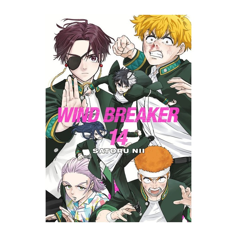 Wind Breaker V14
