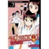 Nisekoi: False Love V07