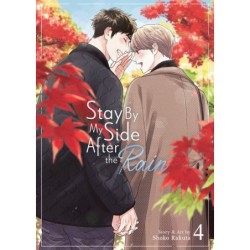 Stay by My Side After the Rain V04
