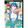 Nisekoi: False Love V23