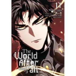 World After the Fall V11