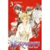 Noragami: Stray God V03