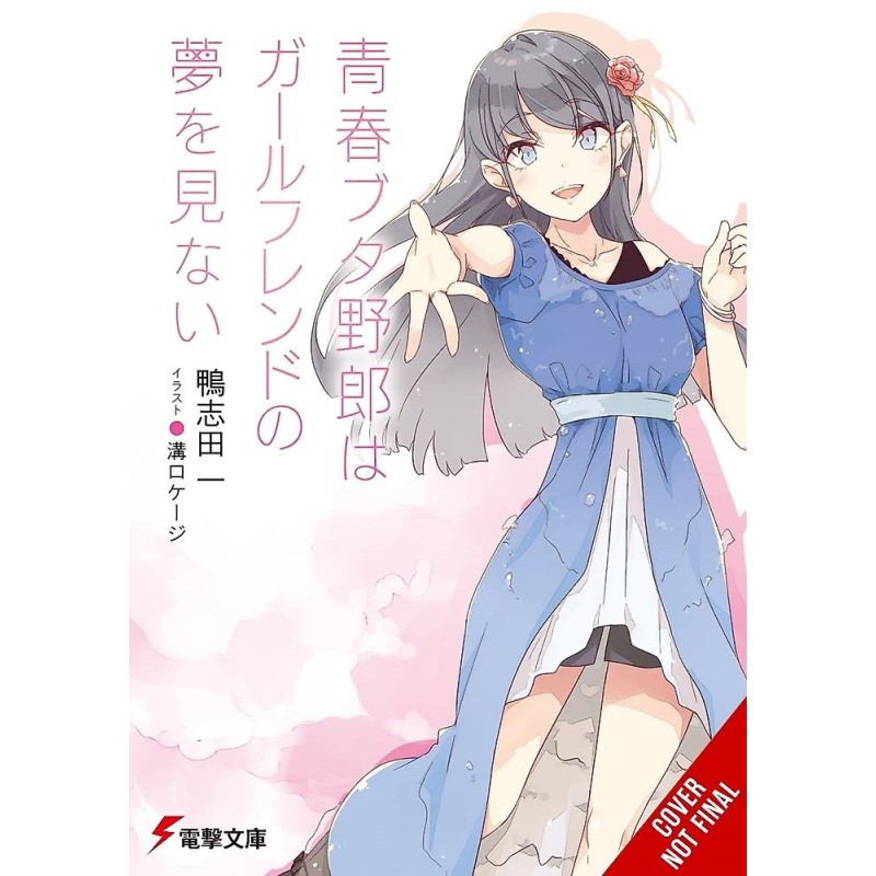 Rascal Does Not Dream of His Girlfriend Novel V14