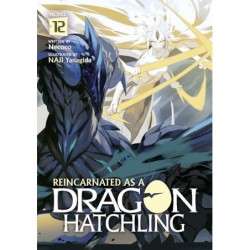 Reincarnated as a Dragon Hatchling Novel V12