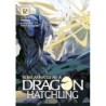 Reincarnated as a Dragon Hatchling Novel V12