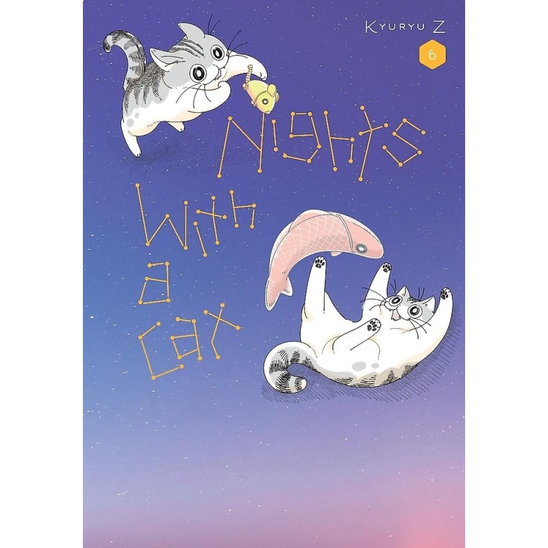 Nights with a Cat V06