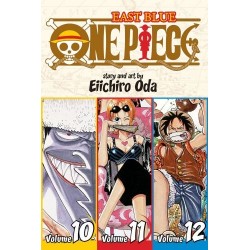 One Piece 3-in-1 V04