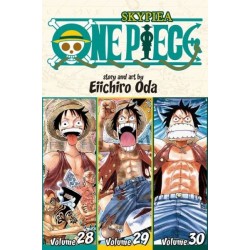 One Piece 3-in-1 V10