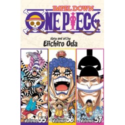 One Piece 3-in-1 V19