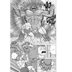 Baki the Grappler Perfect Edition V07