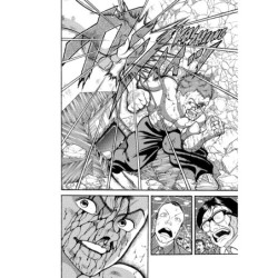 Baki the Grappler Perfect Edition V08