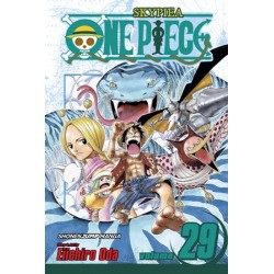 One Piece V29