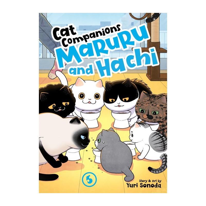 Cat Companions Maruru & Hachi V05