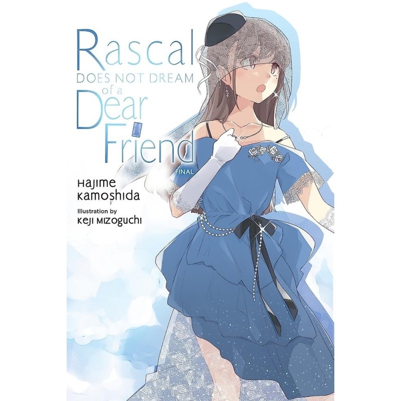 Rascal Does Not Dream Novel V15 of a Dear Friend