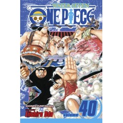 One Piece V40
