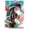 One-Punch Man V12