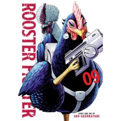 Rooster Fighter V09