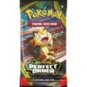 Pokemon Perfect Order Booster
