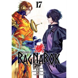 Record of Ragnarok V17