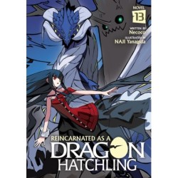 Reincarnated as a Dragon Hatchling Novel V13