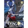 Reincarnated as a Dragon Hatchling Novel V13