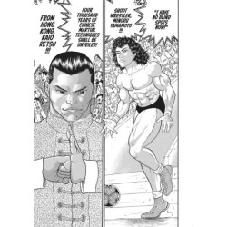 Baki the Grappler Perfect Edition V12