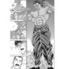 Baki the Grappler Perfect Edition V13