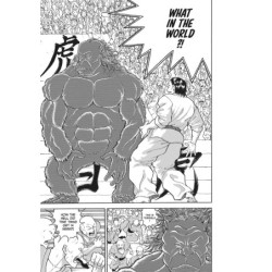 Baki the Grappler Perfect Edition V13