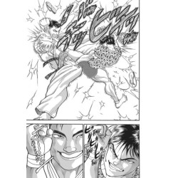 Baki the Grappler Perfect Edition V13