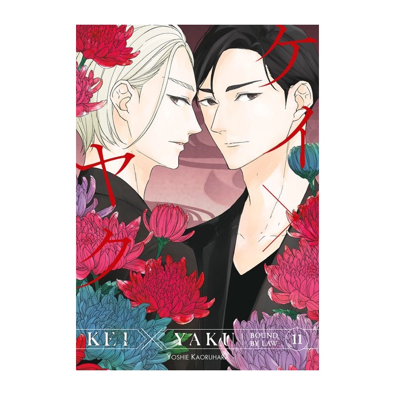 Kei X Yaku Bound by Law V11