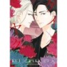 Kei X Yaku Bound by Law V11