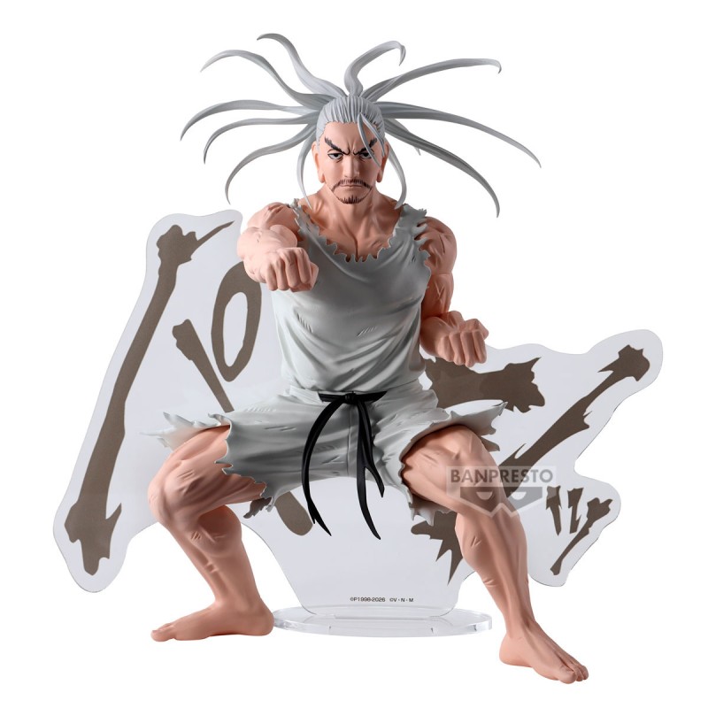 Hunter X Hunter HA Netero Hunting Archives Figure