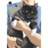 Cat + Crazy V03