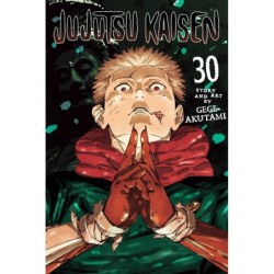 Jujutsu Kaisen V30