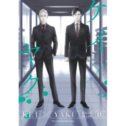 Kei X Yaku Bound by Law V13
