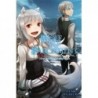 Wolf & Parchment: New Theory Spice & Wolf Novel V01