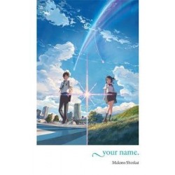 Your Name. Novel