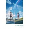 Your Name. Novel