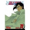 Bleach V72