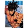 One-Punch Man V13