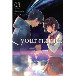 Your Name. Manga V03
