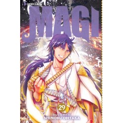 Magi the Labyrinth of Magic V29