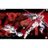 1/60 PG Strike Rouge and Skygrasper