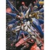 1/100 MG Strike Freedom Gundam ZGMF-X20A