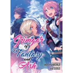 Grimgar of Fantasy & Ash Novel V06