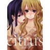 Citrus V01